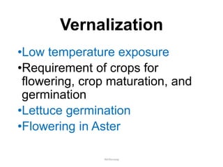Vernalization
•Low temperature exposure
•Requirement of crops for
flowering, crop maturation, and
germination
•Lettuce germination
•Flowering in Aster
JMUBanayag
 