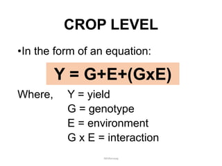 CROP LEVEL
•In the form of an equation:
Where, Y = yield
G = genotype
E = environment
G x E = interaction
Y = G+E+(GxE)
JMUBanayag
 