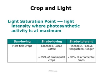 Crop and Light
Light Saturation Point --- light
intensity where photosynthetic
activity is at maximum
Sun-loving Shade-loving Shade-tolerant
Most field crops Lanzones, Cacao
Coffee
Pineapple, Papaya
Mangosteen, Ginger
 65% of ornamental
crops
 35% of ornamental
crops
JMUBanayag
 