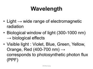 Wavelength
• Light → wide range of electromagnetic
radiation
• Biological window of light (300-1000 nm)
→ biological effects
• Visible light : Violet, Blue, Green, Yellow,
Orange, Red (400-700 nm) →
corresponds to photosynthetic photon flux
(PPF)
JMUBanayag
 