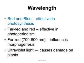 Wavelength
• Red and Blue – effective in
photosynthesis
• Far-red and red – effective in
photoperiodism
• Far-red (700-800 nm) – influences
morphogenesis
• Ultraviolet light → causes damage on
plants
JMUBanayag
 