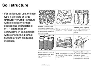 Soil structure
• For agricultural use, the best
type is a stable or large
granular “crumb” structure
with biologically formed
sponge-like aggregates of
0.1–1 cm formed by
earthworms in combination
with string-forming fungal
hyphae or gum-producing
microbes.
JMUBanayag
 