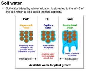 Soil water
• Soil water added by rain or irrigation is stored up to the WHC of
the soil, which is also called the field capacity.
 