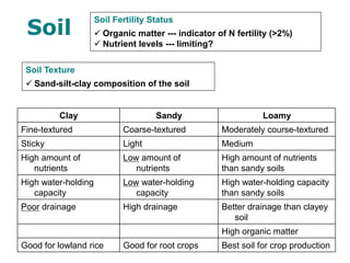 Soil Fertility Status
 Organic matter --- indicator of N fertility (>2%)
 Nutrient levels --- limiting?
Soil Texture
 Sand-silt-clay composition of the soil
Clay Sandy Loamy
Fine-textured Coarse-textured Moderately course-textured
Sticky Light Medium
High amount of
nutrients
Low amount of
nutrients
High amount of nutrients
than sandy soils
High water-holding
capacity
Low water-holding
capacity
High water-holding capacity
than sandy soils
Poor drainage High drainage Better drainage than clayey
soil
High organic matter
Good for lowland rice Good for root crops Best soil for crop production
Soil
 