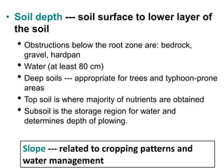 Slope --- related to cropping patterns and
water management
• Soil depth --- soil surface to lower layer of
the soil
• Obstructions below the root zone are: bedrock,
gravel, hardpan
• Water (at least 80 cm)
• Deep soils --- appropriate for trees and typhoon-prone
areas
• Top soil is where majority of nutrients are obtained
• Subsoil is the storage region for water and
determines depth of plowing.
 