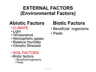 EXTERNAL FACTORS
(Environmental Factors)
Abiotic Factors
• CLIMATE
• Light
• Temperature
• Atmospheric gases
• Relative Humidity
• Climatic Stresses
• SOIL FACTORS
• Biotic factors
• Beneficial organisms
• Pests
Biotic Factors
• Beneficial organisms
• Pests
JMUBanayag
 