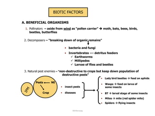 BIOTIC FACTORS
A. BENEFICIAL ORGANISMS
1. Pollinators – aside from wind as “pollen carrier”  moth, bats, bees, birds,
beetles, butterflies
2. Decomposers – “breaking down of organic remains”
3. Natural pest enemies – “non-destructive to crops but keep down population of
destructive pests”
• insect pests
• diseases
• bacteria and fungi
• Invertebrates --- detritus feeders
 Earthworms
 Millipedes
 Larvae of flies and beetles
Pests NE
Crop
• Lady bird beetles  feed on aphids
• Wasps  feed on larva of
some insects
• BT  larval stage of some insects
• Mites  mite (red spider mite)
• Spiders  flying insects
JMUBanayag
 