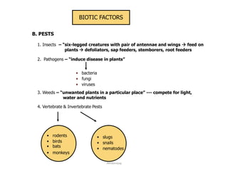 B. PESTS
1. Insects – “six-legged creatures with pair of antennae and wings  feed on
plants  defoliators, sap feeders, stemborers, root feeders
2. Pathogens – “induce disease in plants”
3. Weeds – “unwanted plants in a particular place” --- compete for light,
water and nutrients
• bacteria
• fungi
• viruses
4. Vertebrate & Invertebrate Pests
• bats
• rodents
• birds
• monkeys
• slugs
• snails
• nematodes
BIOTIC FACTORS
JMUBanayag
 