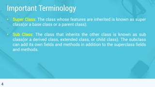 Object Oriented Programming - 7.1. Inheritance | PDF