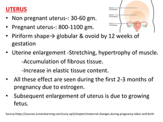 UTERUS
• Non pregnant uterus-: 30-60 gm.
• Pregnant uterus-: 800-1100 gm.
• Piriform shape→ globular & ovoid by 12 weeks of
gestation
• Uterine enlargement -Stretching, hypertrophy of muscle.
-Accumulation of fibrous tissue.
-Increase in elastic tissue content.
• All these effect are seen during the first 2-3 months of
pregnancy due to estrogen.
• Subsequent enlargement of uterus is due to growing
fetus.
Source:https://courses.lumenlearning.com/suny-ap2/chapter/maternal-changes-during-pregnancy-labor-and-birth
 