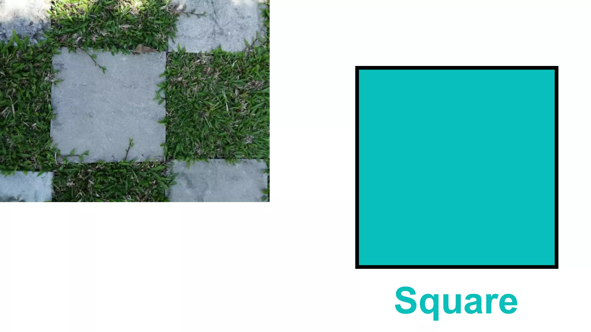 7.2.1 name the shape of square, rectangle, triangle and circle | PPT