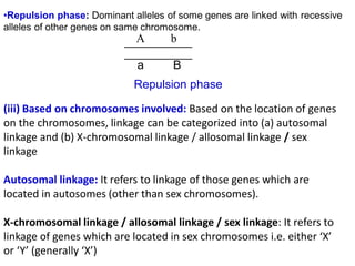 •Repulsion phase: Dominant alleles of some genes are linked with recessive
alleles of other genes on same chromosome.
(iii) Based on chromosomes involved: Based on the location of genes
on the chromosomes, linkage can be categorized into (a) autosomal
linkage and (b) X-chromosomal linkage / allosomal linkage / sex
linkage
Autosomal linkage: It refers to linkage of those genes which are
located in autosomes (other than sex chromosomes).
X-chromosomal linkage / allosomal linkage / sex linkage: It refers to
linkage of genes which are located in sex chromosomes i.e. either ‘X’
or ‘Y’ (generally ‘X’)
A b
a B
Repulsion phase
 