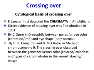 Crossing over
Cytological basis of crossing over
❖ F. Janssen first detected the CHIASMATA in Amphibians
❖ Direct evidence of crossing over was first obtained in
1931
❖ By C. Stern in Drosophila between genes for eye color
(carnation/ red) and eye shape (Bar/ normal)
❖ By H. B. Creignton and B. McClintoc in Maize on
chromosome no 9. The crossing over observed
between the genes for Kernel color (colored/ colorless)
and types of carbohydrates in the kernel (starchy/
waxy)
 
