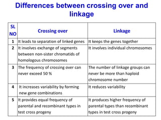 SL
NO
Crossing over Linkage
1 It leads to separation of linked genes It keeps the genes together
2 It involves exchange of segments
between non-sister chromatids of
homologous chromosomes
It involves individual chromosomes
3 The frequency of crossing over can
never exceed 50 %
The number of linkage groups can
never be more than haploid
chromosome number
4 It increases variability by forming
new gene combinations
It reduces variability
5 It provides equal frequency of
parental and recombinant types in
test cross progeny
It produces higher frequency of
parental types than recombinant
types in test cross progeny
Differences between crossing over and
linkage
 