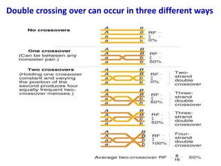 Double crossing over can occur in three different ways
 