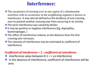 Interference:
❖The occurrence of crossing over in one region of a chromosome
interferes with its occurrence in the neighboring segment is known as
interference. It may also be defined as the tendency of one crossing
over to prevent another crossing over from occurring in its vicinity.
❖The term interference was coined by Muller.
❖It may be positive or negative interference (Eg: Aspergillus,
bacteriophages. )
❖The effect of interference reduces as the distance from the first
crossing over increases.
❖The intensity of interference may be estimated as coefficient of
interference.
Coefficient of interference = 1 - coefficient of coincidence
❖ interference value between 0-1 = + ve interference
❖ in the absence of interference, coefficient of interference will be
zero.
 