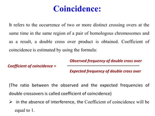 Coincidence:
It refers to the occurrence of two or more distinct crossing overs at the
same time in the same region of a pair of homologous chromosomes and
as a result, a double cross over product is obtained. Coefficient of
coincidence is estimated by using the formula:
Observed frequency of double cross over
Coefficient of coincidence =
Expected frequency of double cross over
(The ratio between the observed and the expected frequencies of
double crossovers is called coefficient of coincidence)
➢ in the absence of interference, the Coefficient of coincidence will be
equal to 1.
 