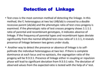 Detection of Linkage
• Test cross is the most common method of detecting the linkage. In this
method, the F, heterozygous at two loci (AB/ab) is crossed to a double
recessive parent (ab/ab) and the phenotypic ratio of test cross progeny is
examined. If the phenotypic ratio of test crosses progeny shows 1:1:1:1
ratio of parental and recombinant genotypes, it indicates absence of
linkage. If the frequency of parental types and recombinant types deviate
significantly from the normal dihybrid test cross ratio of 1:1:1:1, it reveals
presence of linkage between two genes under study.
• Another way to detect the presence or absence of linkage is to self-
pollinate the individual heterozygous at two loci. If there is complete
dominance at each locus and no epistasis, the segregation ratio of the
progeny will be 9:3:3:1. Presence of linkage either in coupling or repulsion
phase will lead to significant deviation from 9:3:3:1 ratio. The deviation of
observed values from the expected ratio is tested with the help of x2 test.
 