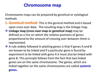 Chromosome map
Chromosome maps can be prepared by genetical or cytological
methods
1. Genetical method: This is the general method and is based
upon cross over data. The resulting map is the linkage map.
❖ Linkage map (cross over map or genetical map) may be
defined as a line on which the relative positions of genes
proportional to the amount of crossing over between them is
represented.
❖ A rule widely followed in plotting genes is that if genes A and B
are known to be linked and if a particular gene is found by
experiment to be linked with gene A it must also be linked with
gene B. This principle follows from the fact that two linked
genes are on the same chromosome. The genes, which are
linked together on the same chromosomes are called syntenic
genes.
 