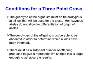 Conditions for a Three Point Cross
❖The genotype of the organism must be heterozygous
at all loci that will be used for the cross. Homozygous
alleles do not allow for differentiation of origin of
alleles.
❖The genotypes of the offspring must be able to be
observed in order to determine which alleles have
been inherited.
❖There must be a sufficient number of offspring
produced to give a representative sample this is large
enough to get accurate results.
 