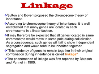 Linkage
❖Sutton and Boveri proposed the chromosome theory of
inheritance.
❖According to chromosome theory of inheritance, it is well
established that many genes are located in each
chromosome in a linear fashion.
❖It may therefore be expected that all genes located in same
chromosome would move to same pole during cell division.
As a consequence, such genes will fail to show independent
segregation and would tend to be inherited together.
❖“This tendency of genes to remain together in their original
combination during inheritance is called linkage”
❖The phenomenon of linkage was first reported by Bateson
and Punnet in 1906.
 