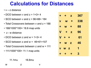 • v – z distance
• DCO between v and z = 1+3= 4
• SCO between v and z = 96+88= 184
• Total Crossovers between v and z = 188
• 188/1000*100= 18.8 map units
• z - w distance
• DCO between z and w = 1+3= 4
• SCO between z and w = 46+61=107
• Total Crossovers between z and w = 111
• 111/1000*100= 11.1 map units
11.1mu 18.8mu
w z v
Calculations for Distances
+ + z 367
v w + 338
+ w + 88
V + z 96
V + + 61
+ w z 46
v w z 1
+ + + 3
 