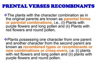 ❖The plants with the character combination as in
the original parents are known as parental forms
or parental combinations, i.e., (i) Plants with
purple flowers and long pollen and (ii) Plants with
red flowers and round pollen.
❖Plants possessing one character from one parent
and another character from the second parent are
known as recombined types or recombinants or
new combinations or cross-overs, i.e. (i) plants
with red flowers and long pollen and (ii) plants with
purple flowers and round pollen.
PRENTAL VERSES RECOMBINANTS
 