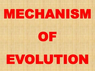 MECHANISM
OF
EVOLUTION
 
