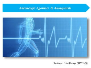 Resident: B.Ankhzaya (MNUMS)
Adrenergic Agonists & Antagonists
 