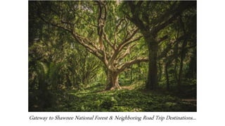 Gateway to Shawnee National Forest & Neighboring Road Trip Destinations...
 
