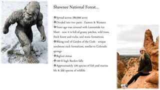 Shawnee National Forest...
❖Spread across 280,000 acres
❖Divided into two parts - Eastern & Western
❖Years ago was covered with Laurentide Ice
Sheet - now it is full of grassy patches, wild trees,
thick forest and rocks, and stone formations.
❖Biking trail of Garden of the Gods - unique
sandstone rock formations, similar to Colorado
springs
❖Bigfoot statue
❖100 ft high Burden falls
❖Approximately 100 species of fish and marine
life & 500 species of wildlife
 