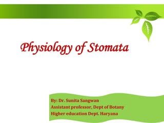 Physiology of Stomata
By: Dr. Sunita Sangwan
Assistant professor, Dept of Botany
Higher education Dept. Haryana
 