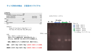 PCR反応
Primer: [F-7] rat Tag L3/ 10spe-R2 (ラット)
95C 9min, 95C 30sec 68C 30sec (55 cycles)
2.5％アガロースゲル
500bp
Dw: 水
1: 食堂、反応１
2: 食堂、反応２
3: 東城寺、反応1
4: 東城寺、反応2
5: 1.00ng, ラットゲノム
Component
Reaction mix (ml)
2x QIAGEN Multiplex PCR Master Mix 10.0
primer F [2pmol/ml] 4pmol/20ml 2.0
primer R [2pmol/ml] 4pmol/20ml 2.0
DW (ml)
DW 1.0
Temp (ml)
DNA solution 5.0
total 20.0
55 cycles
M Dw 1 2 3 4 5
結果
・食堂、東城寺とも2連の反応で行った。
(各サンプルとも抽出は1本、反応は2本で行った。）
どちらも、2本中1本（#2, #4)にシグナルを検出した。
→食堂、東城寺ともラットは存在するが、極めて少ない。
食堂: 1分子／20ml 2分子／40ml 12分子／530リットル空気
東城寺: ２分子／20ml 4分子／40ml 24分子／530リットル空気
ラットDNAの検出 ２回目のトライアル
 