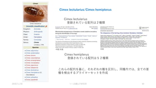 Cimex lectularius/Cimex hemipterus
Cimex lectularius
登録されている配列は２種類
Cimex hemipterus
登録されている配列は５２種類
これらの配列を基に、それぞれの種を区別し、同種内では、全ての亜
種を検出するプライマーセットを作成
中国/米国 米国
2020/11/20 つくば遺伝子研究所 40
 