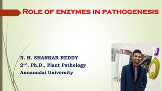 Role of enzymes in pathogenesis
N. H. SHANKAR REDDY
2nd, Ph.D., Plant Pathology
Annamalai University
 