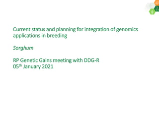 Current status and planning for integration of genomics
applications in breeding
Sorghum
RP Genetic Gains meeting with DDG-R
05th January 2021
 