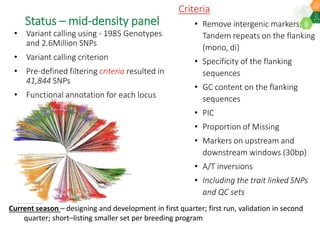 Research Program Genetic Gains (RPGG) Review Meeting 2021: Current status and planning for integration of genomics applications in Sorghum breeding By Dr Santosh Deshpande