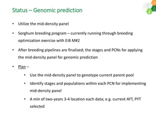 Research Program Genetic Gains (RPGG) Review Meeting 2021: Current status and planning for integration of genomics applications in Sorghum breeding By Dr Santosh Deshpande