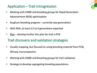 Research Program Genetic Gains (RPGG) Review Meeting 2021: Current status and planning for integration of genomics applications in Sorghum breeding By Dr Santosh Deshpande