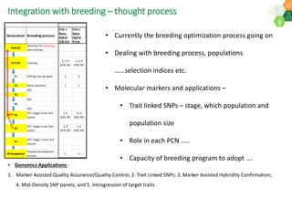 Research Program Genetic Gains (RPGG) Review Meeting 2021: Current status and planning for integration of genomics applications in Sorghum breeding By Dr Santosh Deshpande