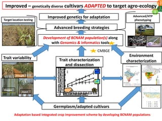 Research Program Genetic Gains (RPGG) Review Meeting 2021: Current status and planning for integration of genomics applications in Sorghum breeding By Dr Santosh Deshpande