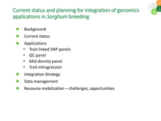 Research Program Genetic Gains (RPGG) Review Meeting 2021: Current status and planning for integration of genomics applications in Sorghum breeding By Dr Santosh Deshpande