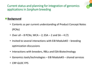 Research Program Genetic Gains (RPGG) Review Meeting 2021: Current status and planning for integration of genomics applications in Sorghum breeding By Dr Santosh Deshpande