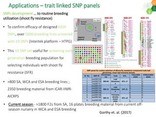 Research Program Genetic Gains (RPGG) Review Meeting 2021: Current status and planning for integration of genomics applications in Sorghum breeding By Dr Santosh Deshpande