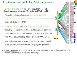 Research Program Genetic Gains (RPGG) Review Meeting 2021: Current status and planning for integration of genomics applications in Sorghum breeding By Dr Santosh Deshpande