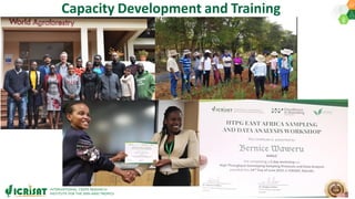 Research Program Genetic Gains (RPGG) Review Meeting 2021: HTPG (2016-2020) - Project Updates By Dr Rajaguru Bohar