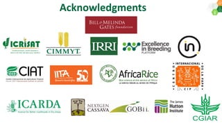 Research Program Genetic Gains (RPGG) Review Meeting 2021: HTPG (2016-2020) - Project Updates By Dr Rajaguru Bohar