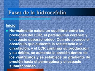 7. hidrocefalia