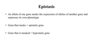 Epistasis
• An allele of one gene masks the expression of alleles of another gene and
expresses its own phenotype
• Gene that masks = epistatic gene
• Gene that is masked = hypostatic gene
 
