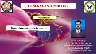 Suresh R. Jambagi
M.Sc. (Agri) Agril. Entomology
University of Agricultural Sciences
Dharwad, Karnataka-580005
Email: jambagisuru@gmail.com
Presentation: 7
GENERAL ENTOMOLOGY
Topics : Nervous system in insects
 